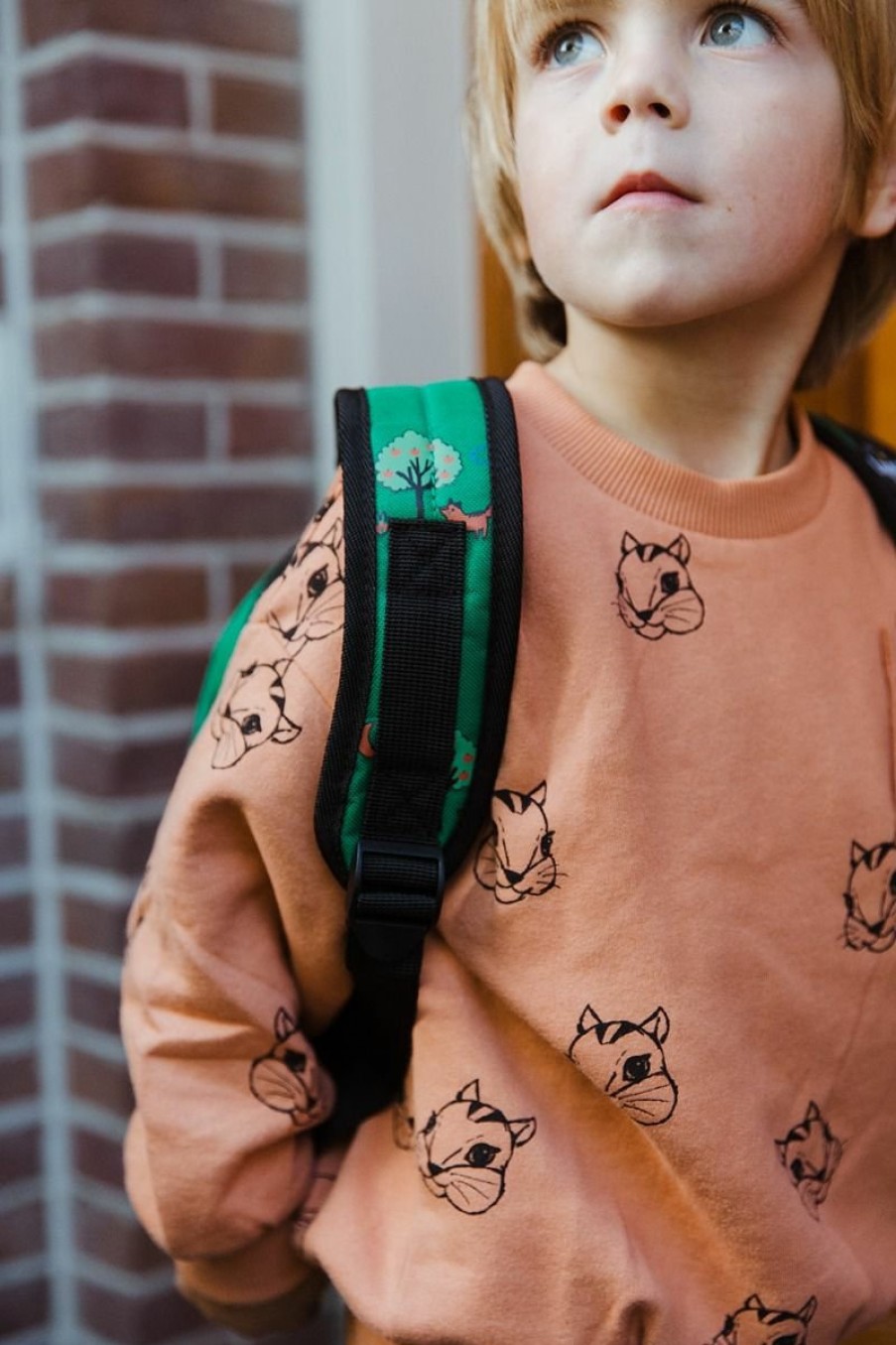 Clothing Sproet & Sprout | Sproet & Sprout Sweatshirt Squirrel