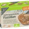Kerst Tip Moses | Expeditie Mini Uithakset - Buitengewone Fossielen